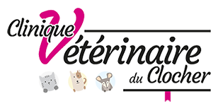 Clinique vétérinaire du Clocher Logo